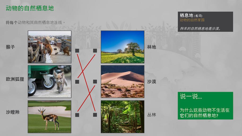 Thubnail of the second slide of the download